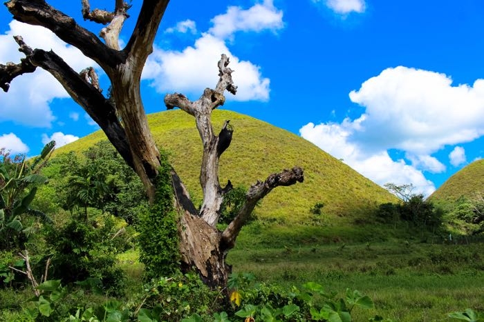 Bohol island in Philippines chocolate hills 12a.jpg