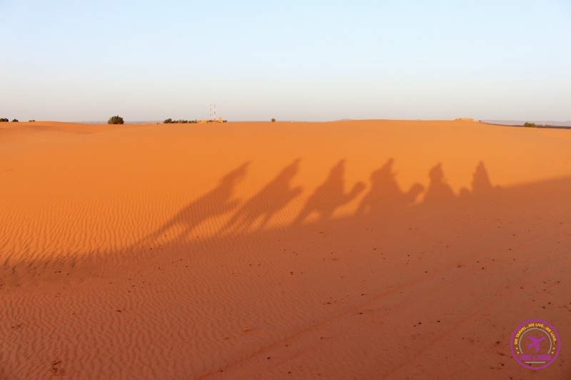 Moroccan Desert 16