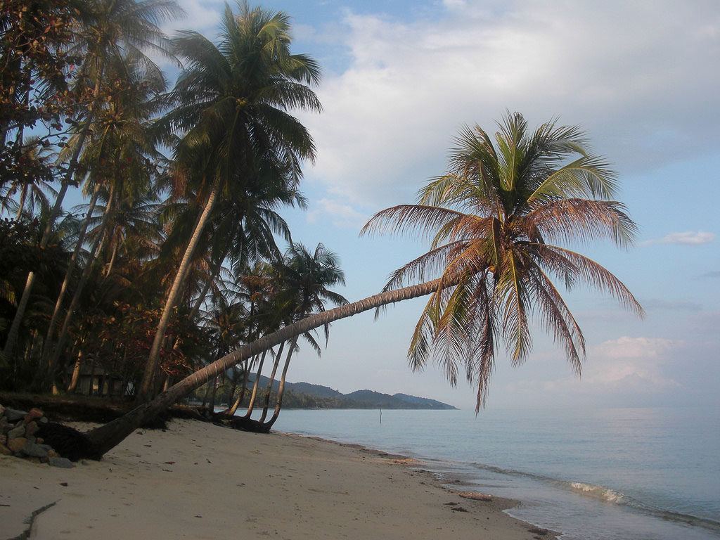 You will find incredible nature when you visit Koh Samui.