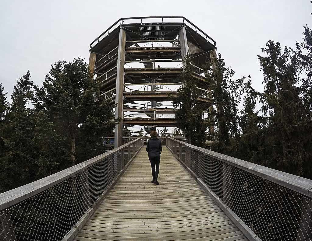 The Treetop Walkway is one of the top attractions in Lipno and you can go on a day trip from Český Krumlov.