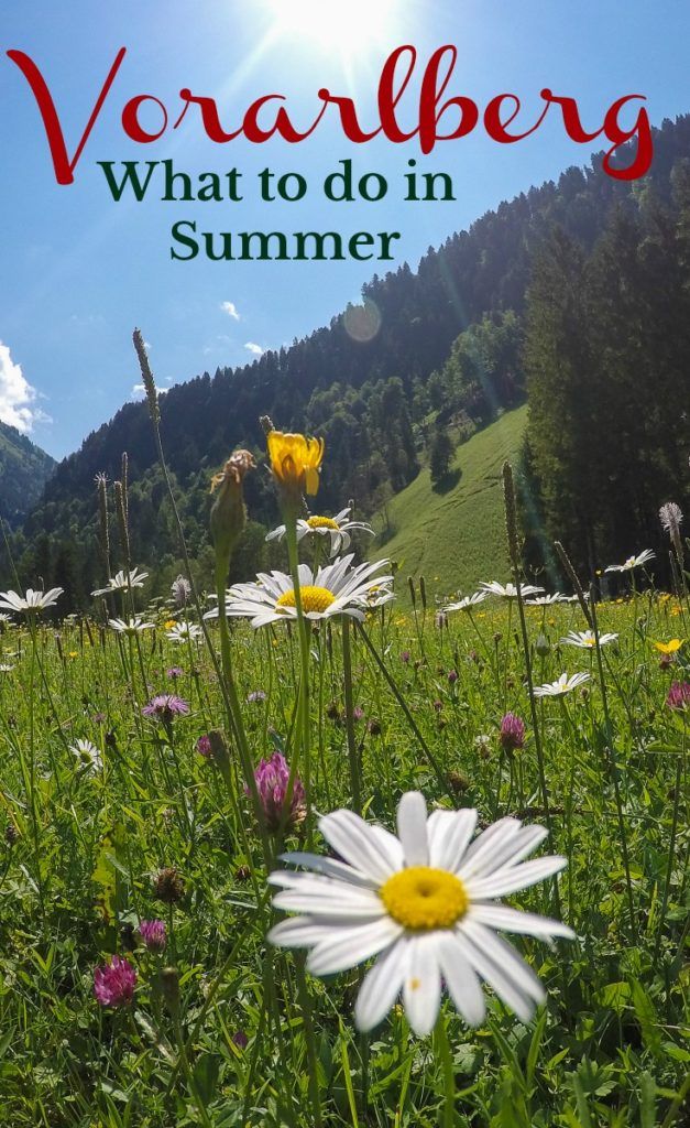 The best summer in Austria! An ultimate guide to things to do in Bregenzerwald, a stunning region in Vorarlberg, Austria. Adventure, adrenaline and lots of fun. How to choose the best hotels in Bregenzerwald, where to eat and travel tips to get around. 