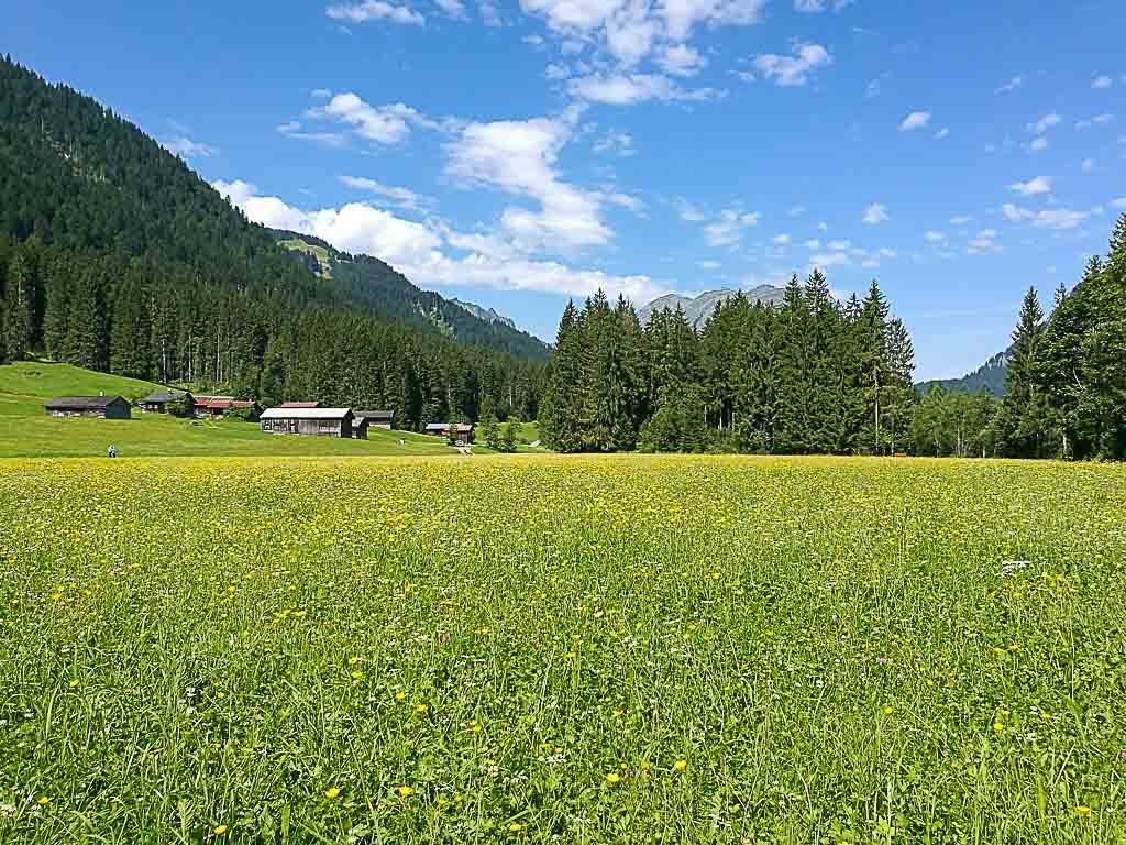 Ficamos hospedados na região de Bregenzerwald, um dos melhore pontos para fazer atividades de aventura e seguir nossas dicas do que fazer em Vorarlberg, Áustria.