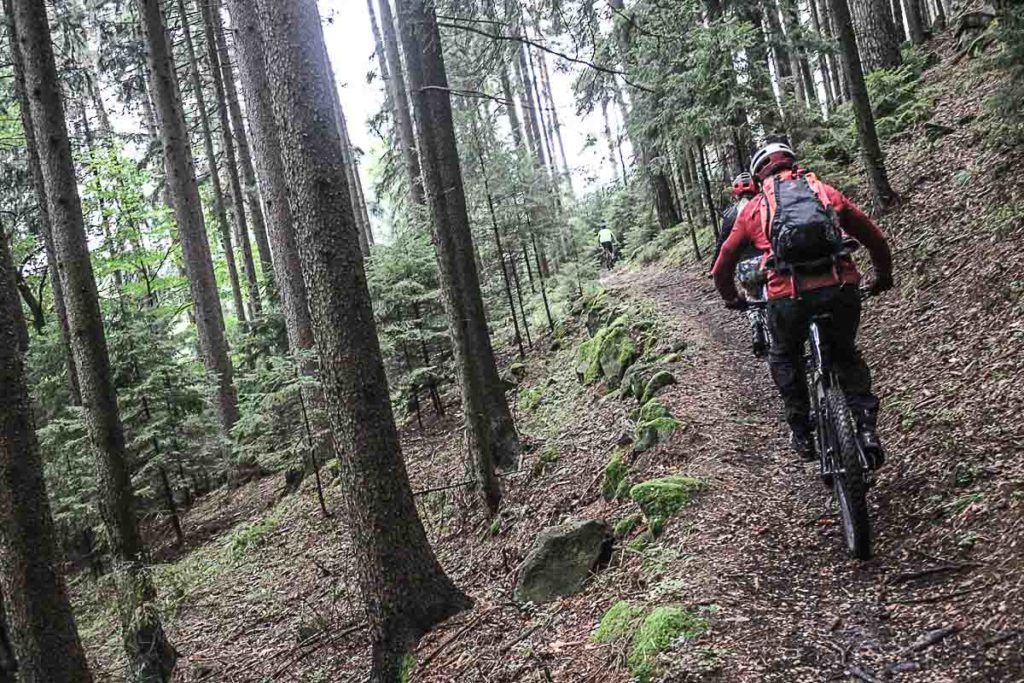 The mountain bike trails in Jeseníky Mountains are amazing, you will feel the adrenaline running through your veins. So don't forget to add this to you list of things to do in the Jeseníky Mountains. 