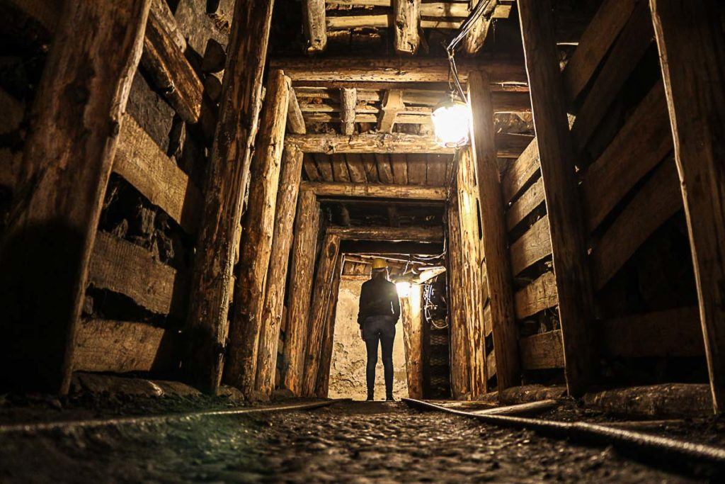 At Landek Park you can visit the old mining tunnels and listen to the history about how cool was mined in Ostrava. 