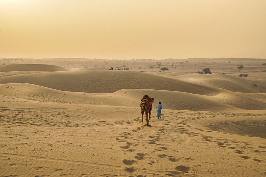 Because Palace on Wheels travels during night, we are able to do a lot in one week, even visit the desert near Jaisalmer. 