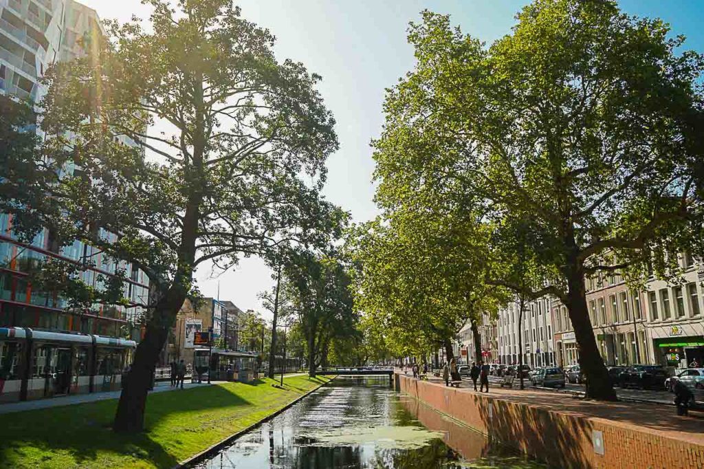 During your one day in Rotterdam take time to enjoy the city's canals. 
