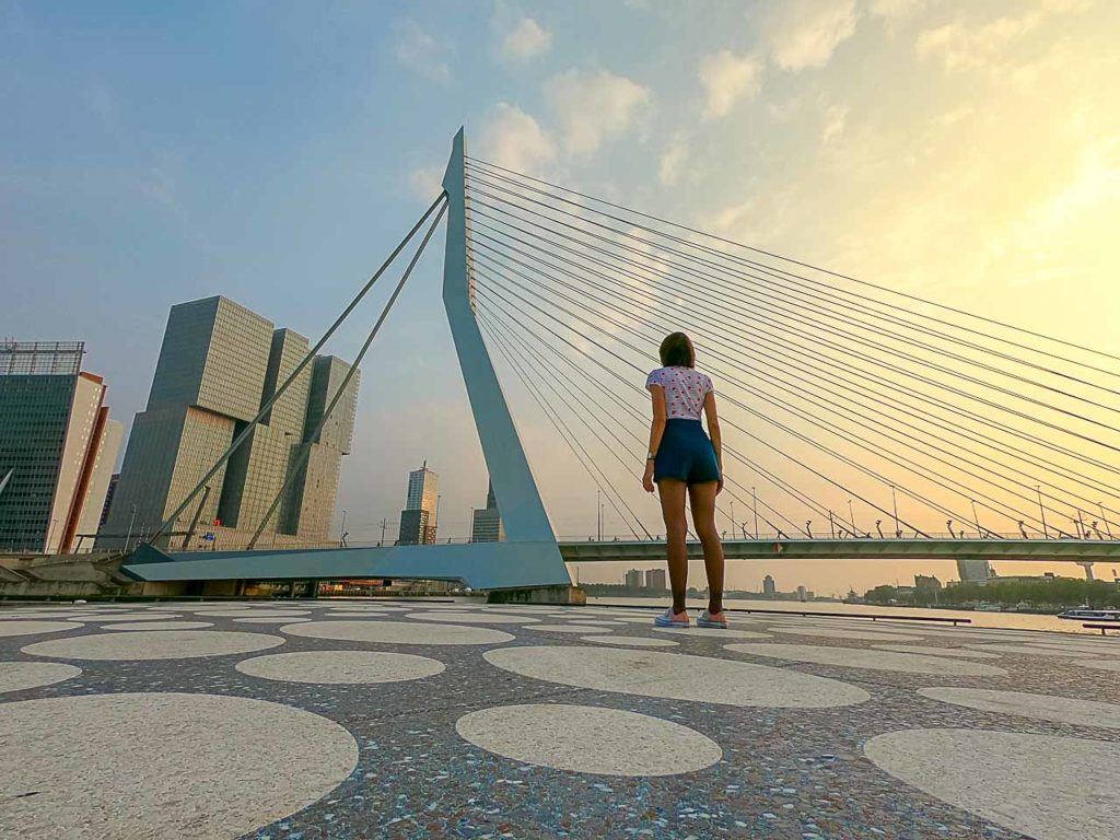 Admire a Ponte Erasmus de diferentes ângulos, ela é um marco impressionante em Rotterdam.