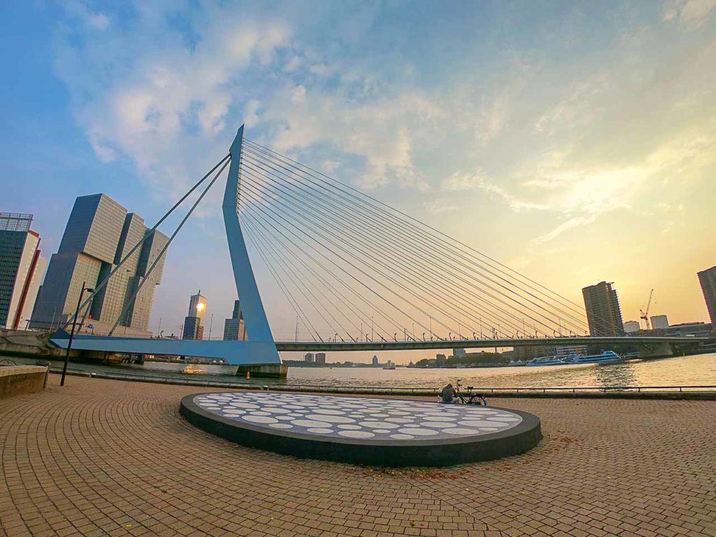 A Ponte Erasmus é uma das principais atrações de Rotterdam e ainda mais linda quando vista da água. 