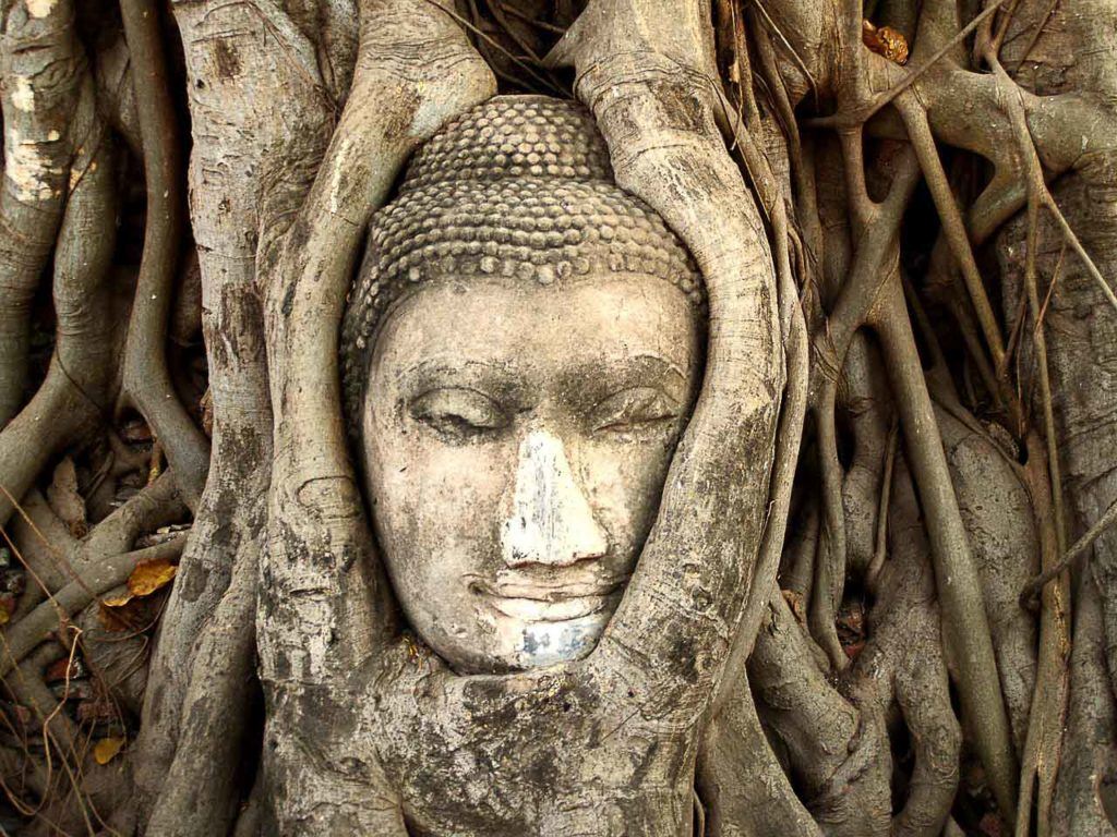A melhor excursão de um dia a Ayutthaya deve ter uma parada para ver a cabeça de Buda envolta em uma árvore Bodhi.