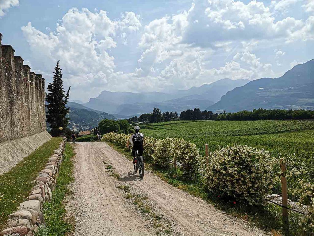 Woman cycling through vineyards.