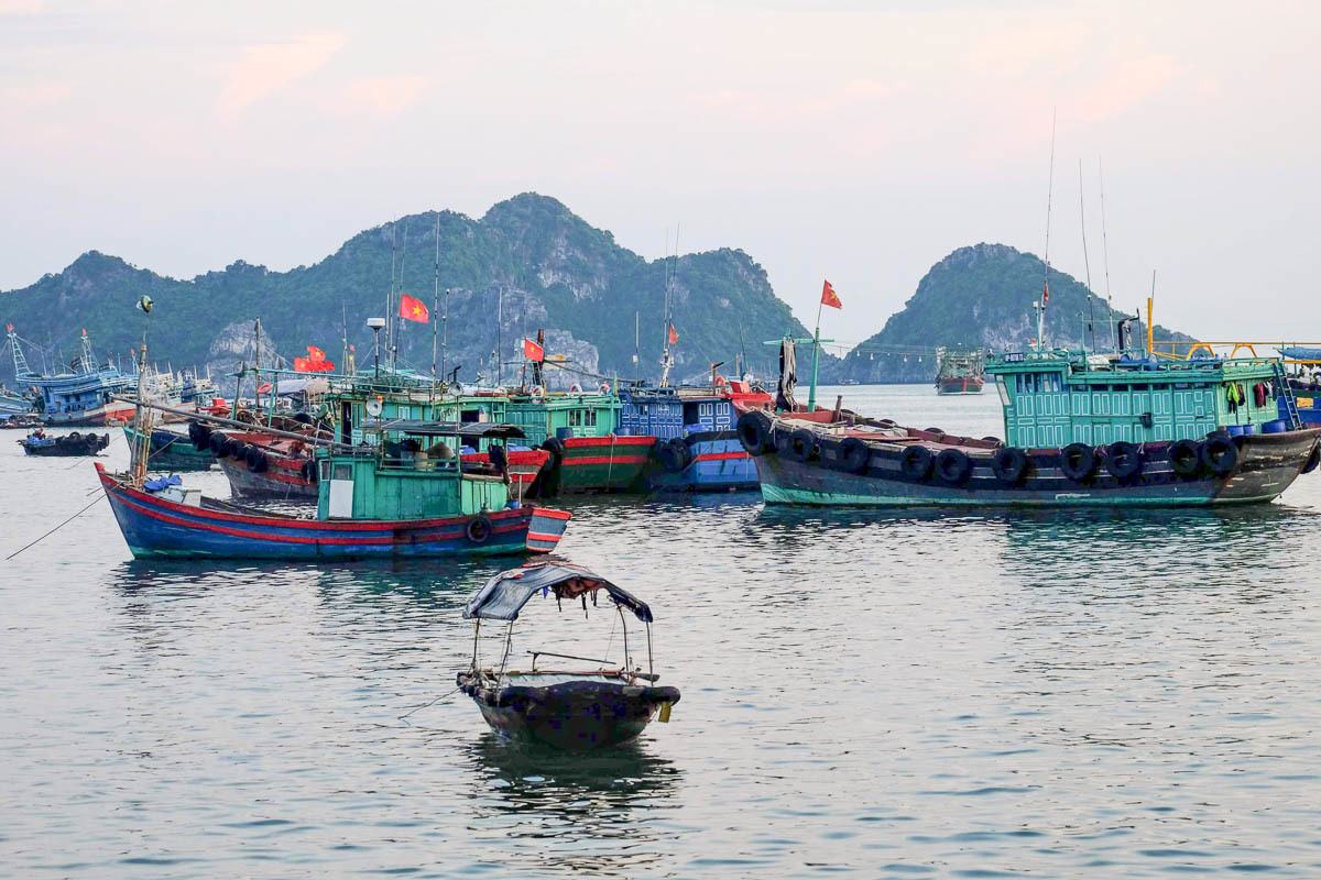 Photo of many fishing boats at the front and some limestone karts in the background. The typical scenery you see on Vietnam's north coast.