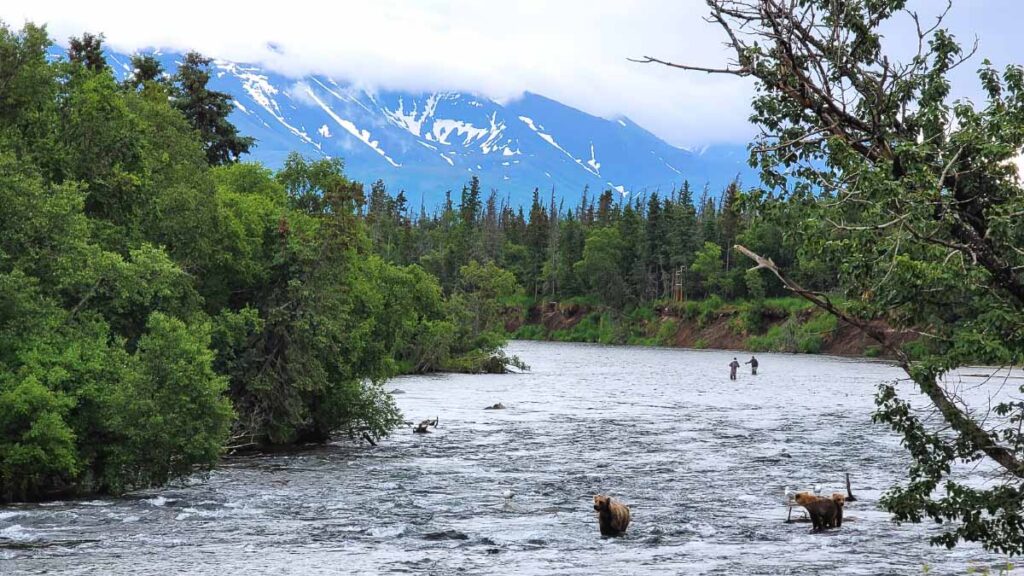 Photo of a river at Katmai National Park, one of the attractions included in this 7-day itinerary in Alaska, United States. 