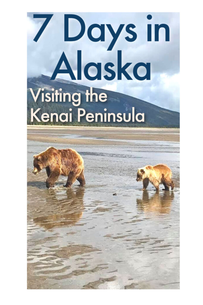 The Ultimate Guide to 7 Days in Alaska - Kenai Peninsula. Here are all the travel tips you need to plan your road trip in Alaska, from the best time to visit this great US state to things to do in the Kenai Peninsula, parks to visit, tours, and Alaskan cruises to join. Plus a list of the best hotels in the Kenai Peninsula and which city you should stop, sleep and eat. 