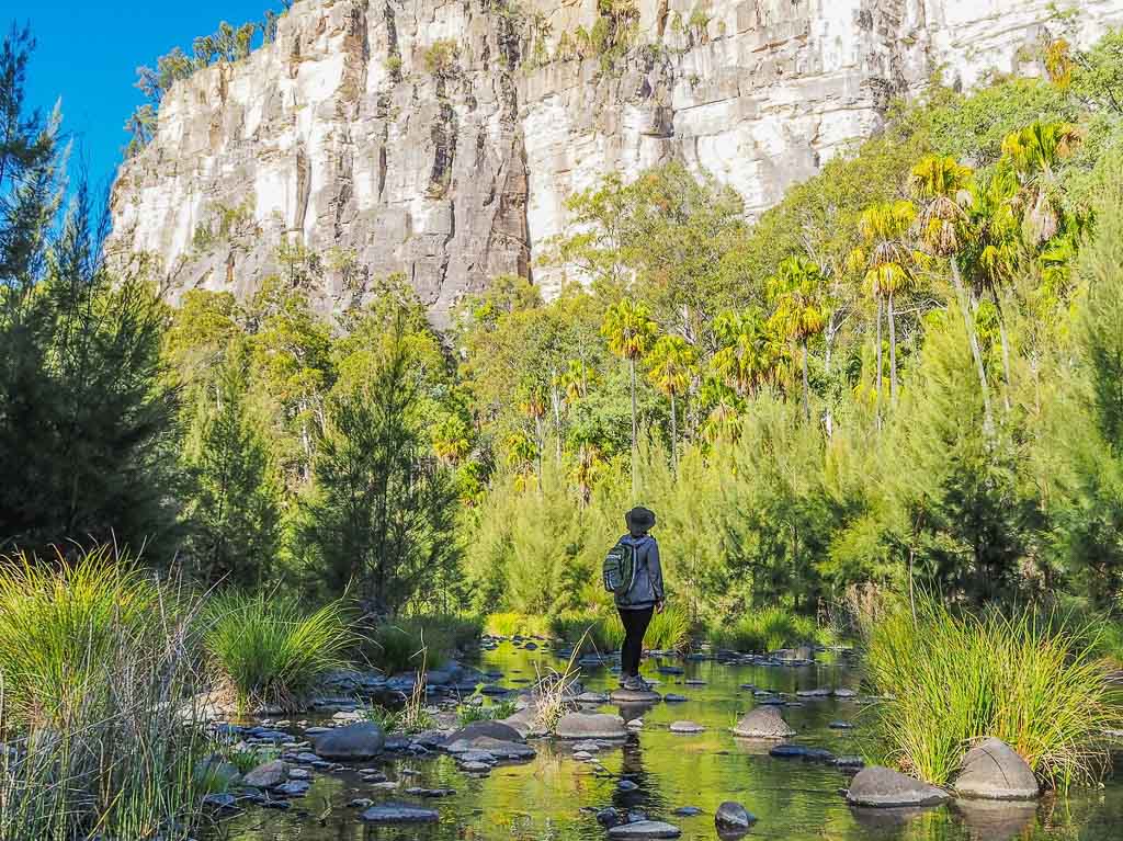 The Carnarvon Gorge National Park is located about 9 hours west of Brisbane and is generally explored over a couple of days. It's a must-add to any Australia itinerary. 