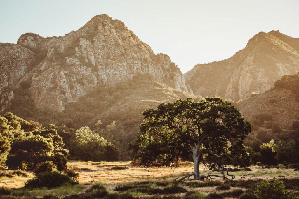 Malibu Creek Park in California is hidden in the Santa Monica Mountains just north of Los Angeles by Pacific Coast Highway. Great for outdoor adventures, hikes, wildlife, and waterfalls. Sunsets.