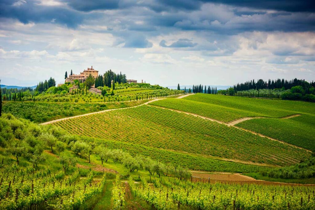 Chianti hills with vineyards and cypress. Tuscan Landscape between Siena and Florence in Italy.