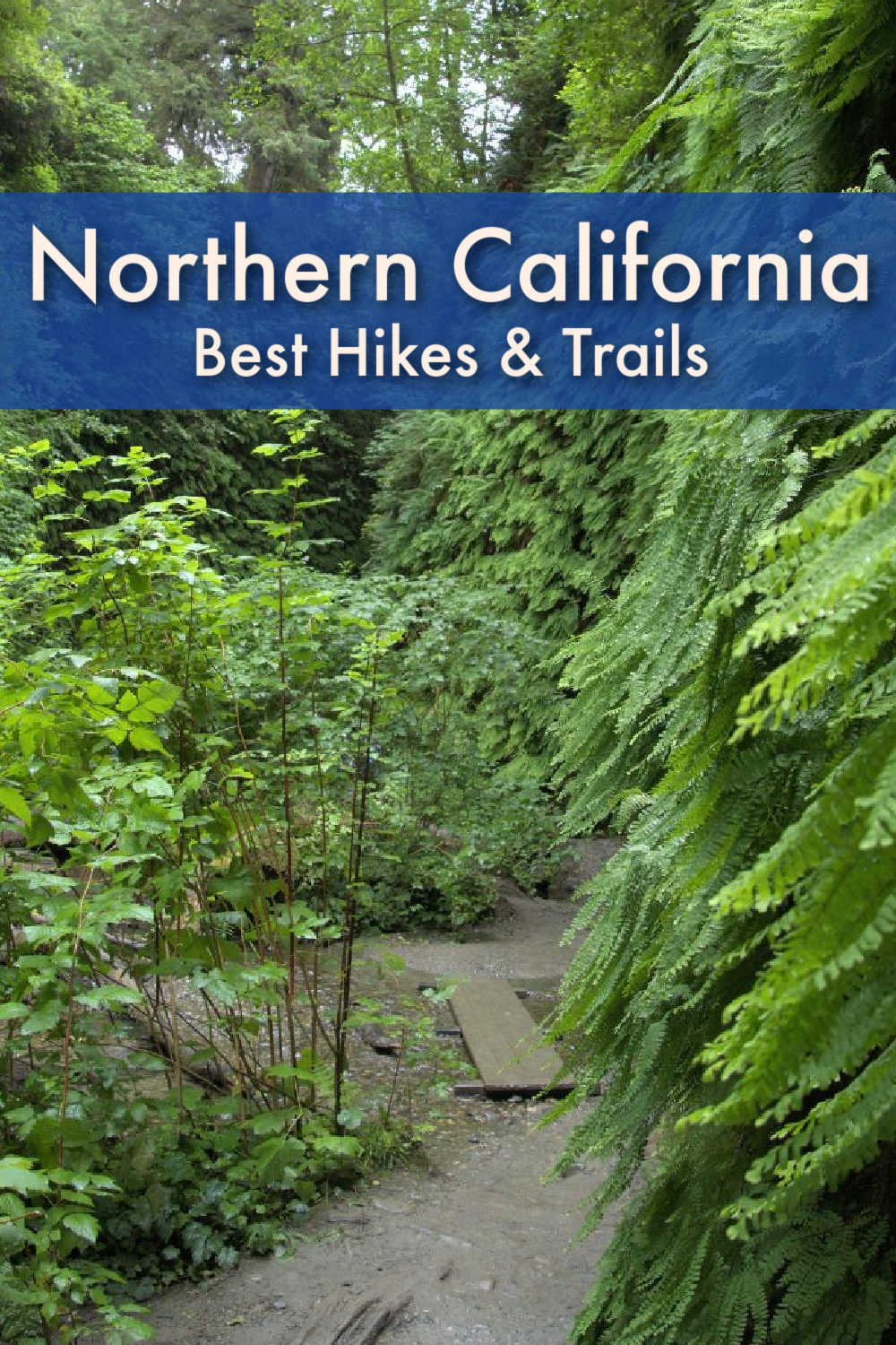 A practical guide to the best hikes in Northern California, from Lake Tahoe to Yosemite hiking trails, we covered it all. Tips about where to go for the best trails in Northern California, when to go hiking, and safety tips. Plus tours, activities, and hotel recommendations so you can enjoy some of the best hikes in California.