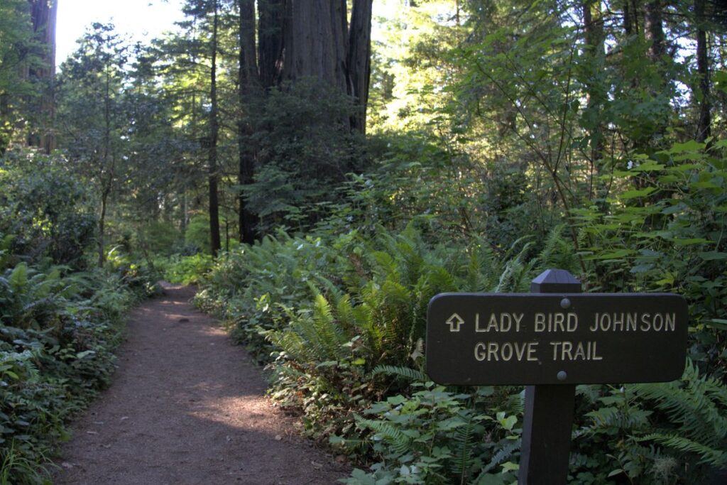 Photo of a sign point to the lady Bird Johnson Grove trail at the Redwood National Park with a lush green forest in the background.
