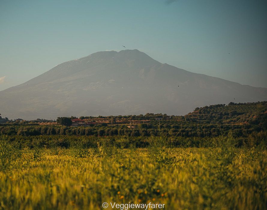 Photo of a field with Mount Etna in the back. Mt Etna is among the best places to visit in Sicily. 