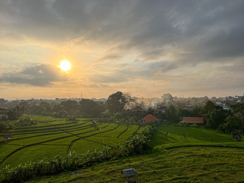 Photo of the rice fields in Canggu Bali. It's a typical landscape in this area, and many cafes and coworking in Bali have this view. 