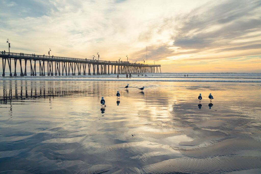 The iconic Pismo Beach Pier at sunset, with low tide sea and seagulls. It is one of the top places to visit in Pismo Beach. CA.