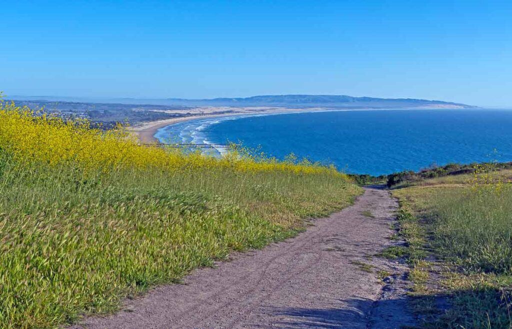 One of Pismo Preserve Park's amazing views and many trails for hiking, cycling, and horseback riding. It must be on your list of fun things to do in Pismo. 