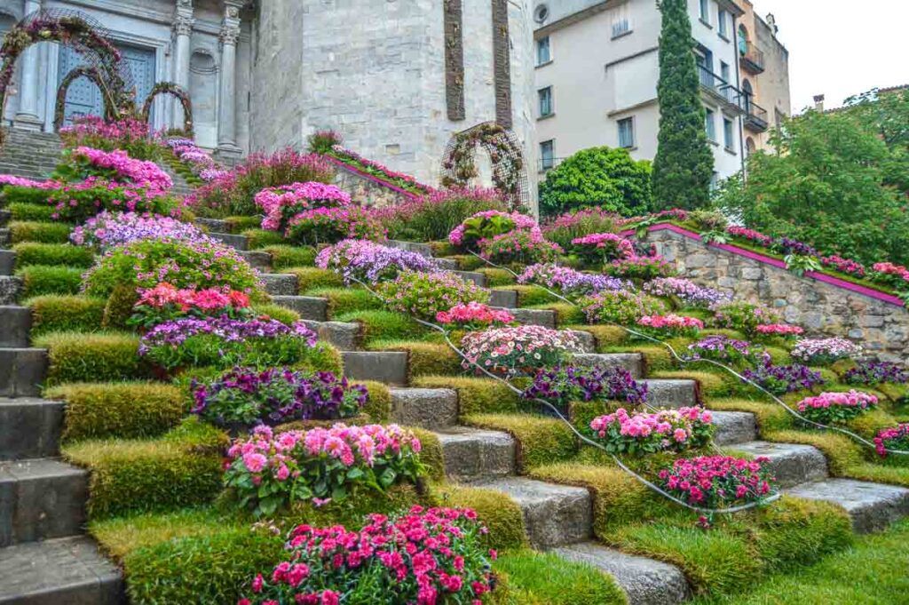 The steps of a church in Girona covered in flowers for the Temps de Flors Festival.