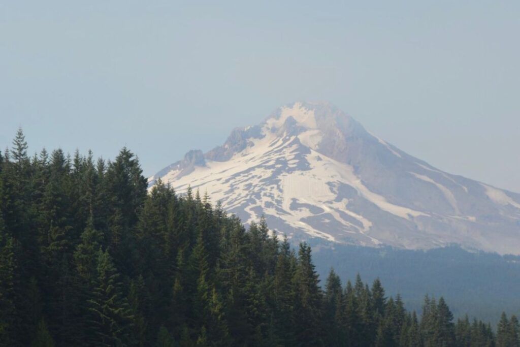 Views from the Mount Hood National Forest in Oregon. You can see Mount Hood covered in snow in the background. You can visit it while staying in Portland.