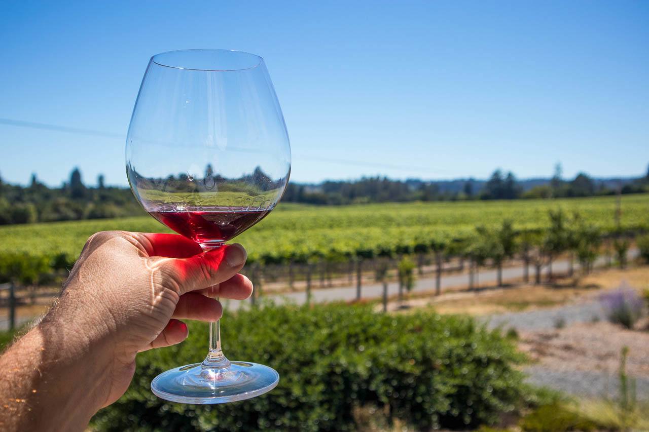 Photo of a man holding a glass of red wine in front of a vineyard. This shows a region of Sonoma, one of the best weekend getaways in Northern California.