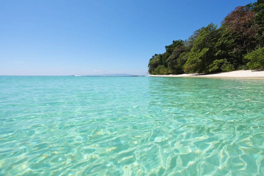 Island of Havelock in Andaman and Nicobar islands. Beach with turquoise water.