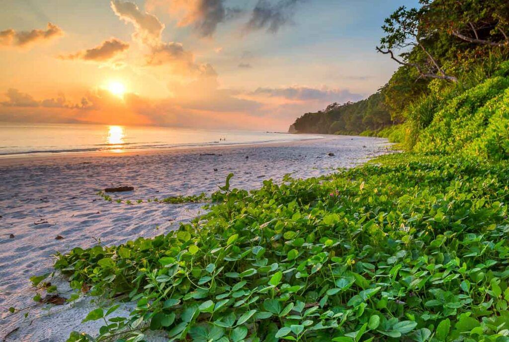 Photo of a stunning beach on Havelock Island one of the best places for diving on Andaman and Nicobar Islands.